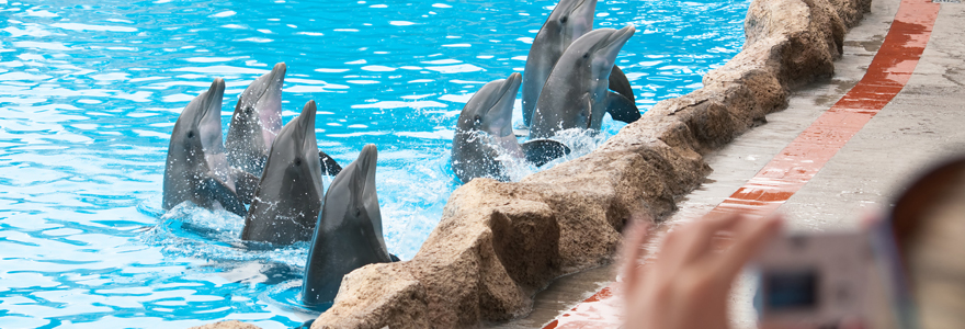 parc aquatique Marineland