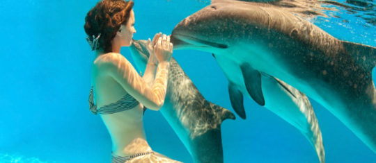 voir les dauphins